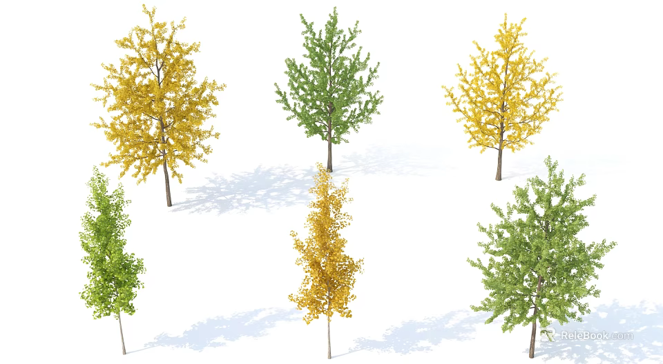 Arbor Trees With Green And Yellow Foliage For Landscape Design Varieties 3d model 