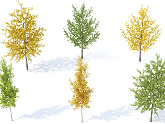 Tree Landscape Tree Landscape Tree Garden Tree Small Tree Outdoor Tree Park Tree Autumn Tree Summer Tree Combination 3d model