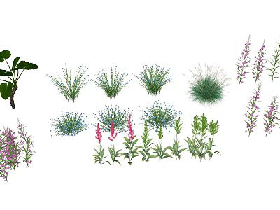 Various Types of Herbs and Flowers with Vibrant Colors and Green Foliage 3d model