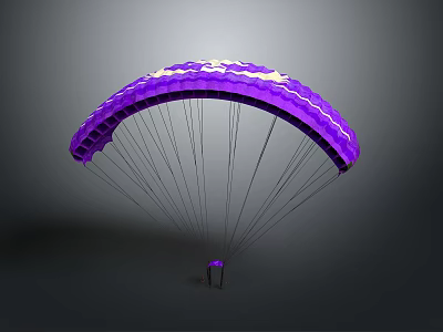 Detailed Vibrant Purple Parachute Canopy With Suspension Lines And Silhouette 3d model