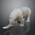 White Rhino 3D Model Display on Reflective Surface with Gray Background 3d model