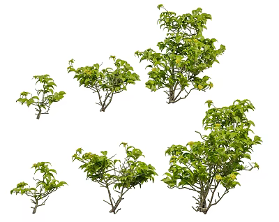 Various Green Leafy Shrubs In Different Sizes For Garden Landscaping Design 3d model