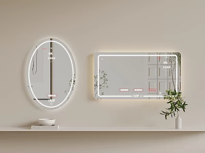 Modern LED Lighted Oval And Rectangular Mirrors On Interior Wall With Plant And Shelf 3d model