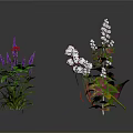Various Green Plants with Purple White and Red Flowers and Fresh Leaves