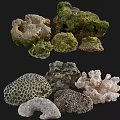 Natural Stone And Wood Pieces With Diverse Textures Shapes And Colors