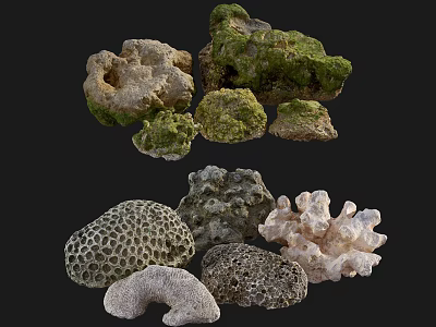 Natural Stone And Wood Pieces With Diverse Textures Shapes And Colors 3d model