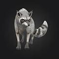 Realistic Gray Raccoon With Striped Tail Standing On Dark Background 3d model