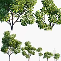 Modern Tree Landscape Trees 3d model