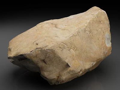 Natural Rough Textured Stone With Earthy Brown Color And Irregular Shape 3d model