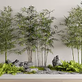 Small Natural Garden Landscape With Bamboo Plants Stones And Ferns