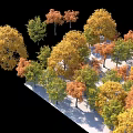 Vibrant Autumn Trees with Yellow Orange Green Foliage on Snowy Ground
