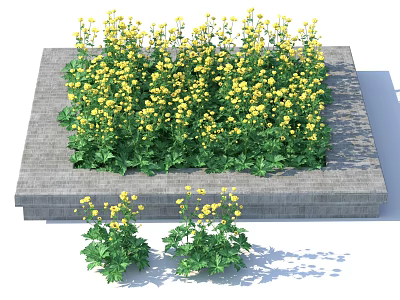 Square Stone Base Floral Display With Yellow Flowers Green Leaves And Small Plant Clusters 3d model