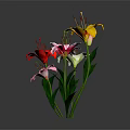 Colorful Lily Bouquet Featuring Red Pink Yellow White Lilies With Green Leaves Against Dark Background