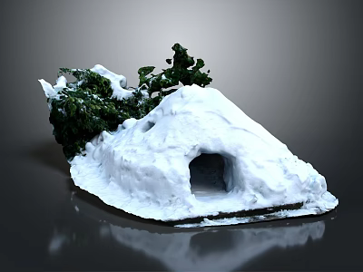 Adorable Cartoon Scene With Snow Covered Small Den And Green Plants 3d model