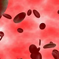Organ System Visualization With Red Blood Cells Green Cells And Red Background
