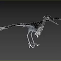 Great Blue Heron with Spread Wings Long Legs and Sharp Beak in Natural Stance 3d model