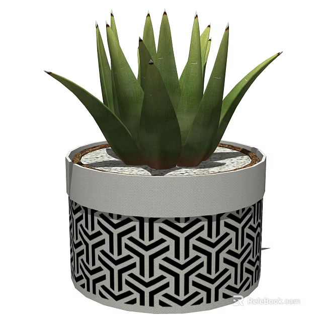 Decorative Potted Bonsai Succulent With Green Leaves And Black White Geometric Pattern Pot 3d model 