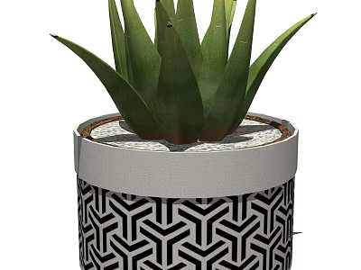 Decorative Potted Bonsai Succulent With Green Leaves And Black White Geometric Pattern Pot 3d model
