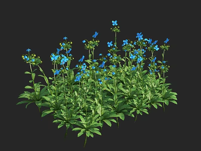 Vibrant Blue Flowers with Lush Green Leaves Growing in Natural Clusters 3d model