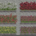 Colorful Flower Varieties In Rectangular Planter Boxes With Various Colors On Brick Wall 3d model