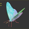 Modern Butterfly Colored Butterfly Tabby Butterfly Leaf Butterfly 3d model