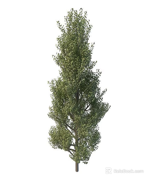 Green Tree Adjacent To Stylish Storage Locker In Outdoor Setting 3d model 
