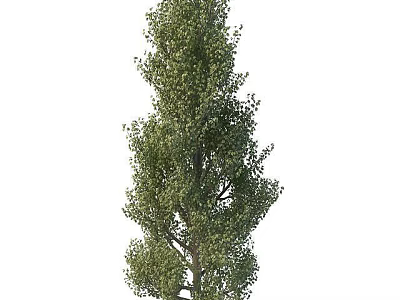 Green Tree Adjacent To Stylish Storage Locker In Outdoor Setting 3d model