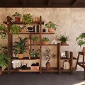 Indoor Bonsai And Potted Plants Display On Wooden Shelf With Various Greenery And Books