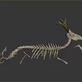 Animal Skeleton Home Decoration With Deer Antlers And Long Spine On Grey Surface