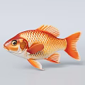 Vibrant Orange And Red Goldfish With Shiny Scales In Aquarium Tank Environment 3d model