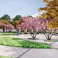 Lush Urban Square Landscape With Diverse Trees Flowering Plants Water Pond And Walking Paths