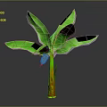 3D Banana Plant Featuring Large Green Leaves Yellow Brown Trunk And Pink Yellow Flower Bud