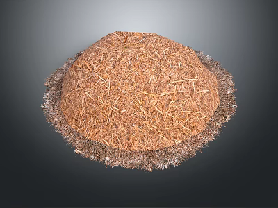 Round Brown Dried Plant Hay With Silver Fringed Edge Isolated On Dark Background 3d model