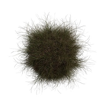 weed ball shrub plant weed 3d model