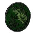 Round Shaped Green Plant Wall With Various Ferns And White Mossy Accents