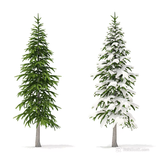 Two Evergreen Trees With Lush Green Foliage And Snow Covered Branches 3d model 