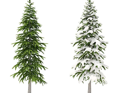 Two Evergreen Trees With Lush Green Foliage And Snow Covered Branches 3d model
