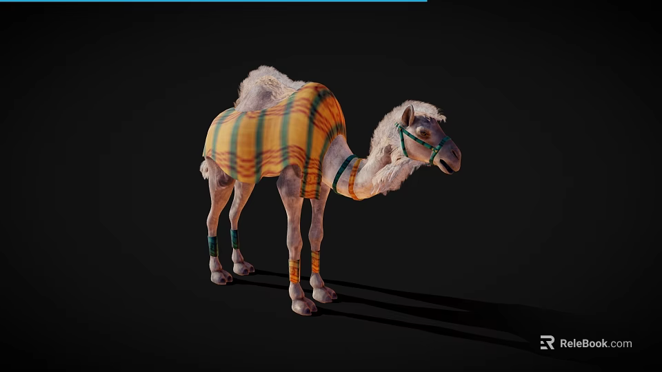 Camel With Colorful Striped Blanket And Leather Harness Standing On Black Background 3d model 