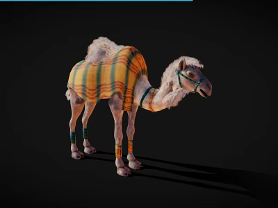 Camel With Colorful Striped Blanket And Leather Harness Standing On Black Background 3d model