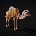 Camel With Colorful Striped Blanket And Leather Harness Standing On Black Background