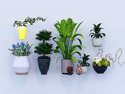 Varied Bonsai Potted Plants For Indoor Decor With Colorful Ceramic Pots And Lush Foliage 3d model