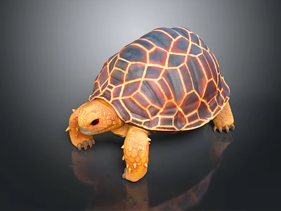 Orange and Black Patterned Tortoise with Red Eyes on Black Reflective Surface 3d model