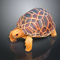 Orange and Black Patterned Tortoise with Red Eyes on Black Reflective Surface 3d model