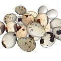 Fresh Organic Quail Eggs With Brown Spots On White Shell For Healthy Meals