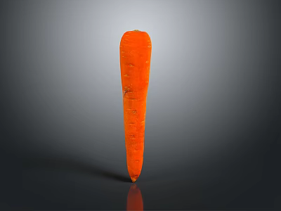 Single Fresh Orange Carrot As Healthy Vegetable With Natural Texture On Smooth Gray Background 3d model