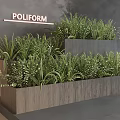 Elegant Green Plants in Tiered Wooden Planters for Modern Interior Decor