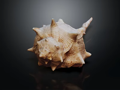Aquatic Animal Shell With Detailed Spiral Structure And Sharp Spines On Black Background 3d model