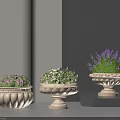 Vibrant Mixed Flowers in Decorative Planters Showcased in Designer Interior Studio
