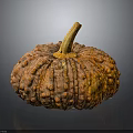 Fresh Orange Pumpkin With Bumpy Texture And Brown Stem On Dark Background