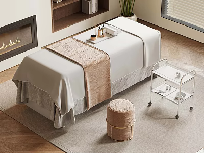 Relaxing Massage Room Interior With Comfortable Table Stool Trolley Bookshelf And Plant 3d model